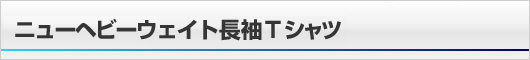 �j���[�w�r�[�E�F�C�g����T�V���c ���Љ�