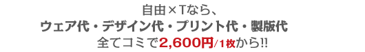 自由×Tなら、ウェア代・デザイン代・プリント代・製版代・送料 全てコミで2000円から!!