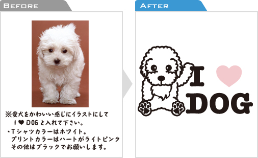 写真・データ 写真・データ